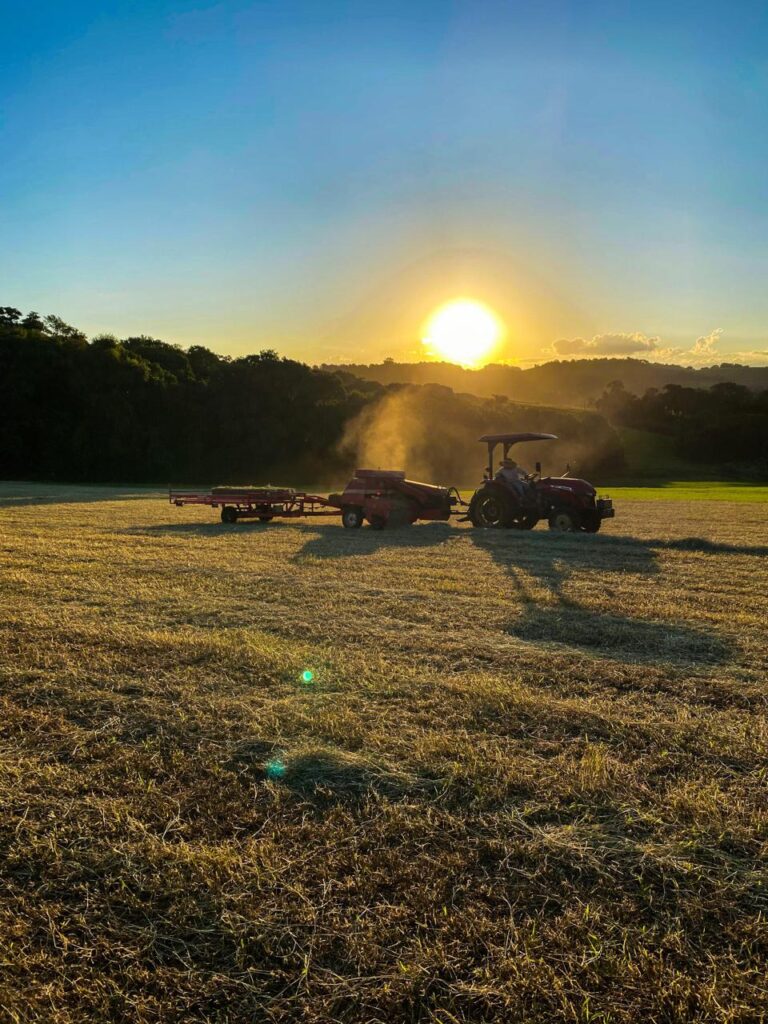 Máquina trabalhando em campo de feno com sol nascendo ao fundo