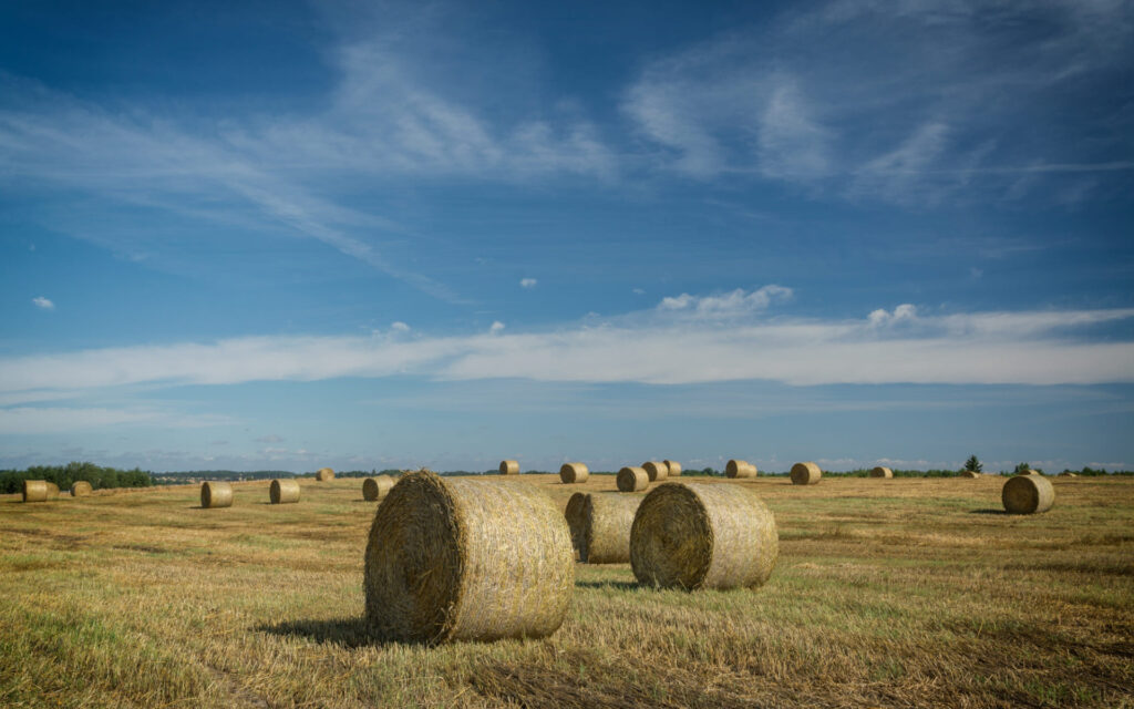 Campo com bolas de feno