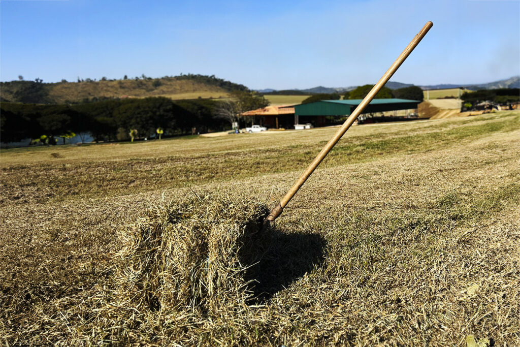 Ancinho espetado em pilha de feno no campo