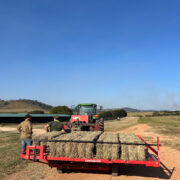 Homens em torno de máquina carregando fardos de feno no campo