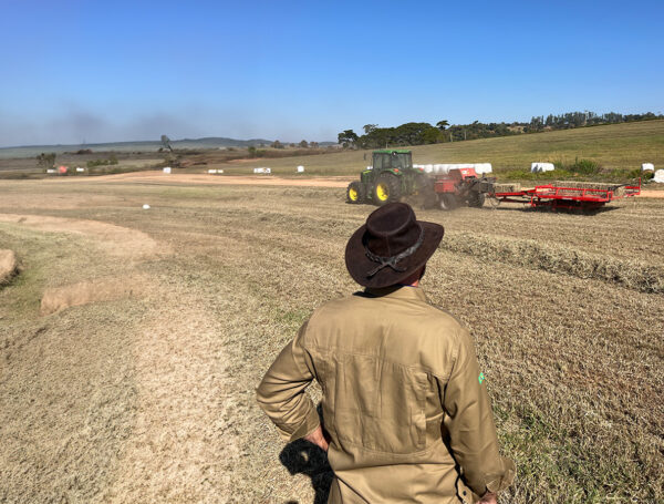 Como as Máquinas Para Manejo no Cultivo do Feno Otimizam a Produtividade?