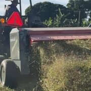 Macerator em operação no campo, condicionando a forragem cortada