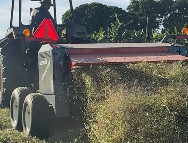 Maceração de forragem: por que o caule é o gargalo da secagem do feno