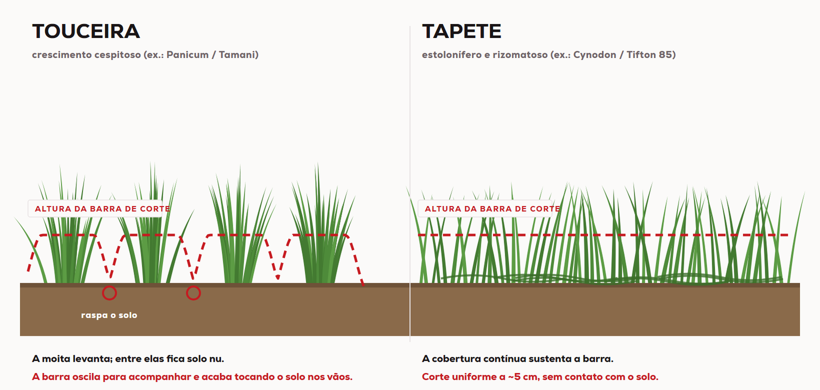 Diagrama comparando o corte em capim de touceira e em capim de tapete